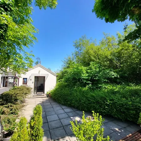Oak Cottage 3 Km From Rock Of Cashel Cashel  Exterior photo