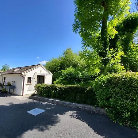 Oak Cottage 3 Km From Rock Of Cashel Cashel  Exterior photo